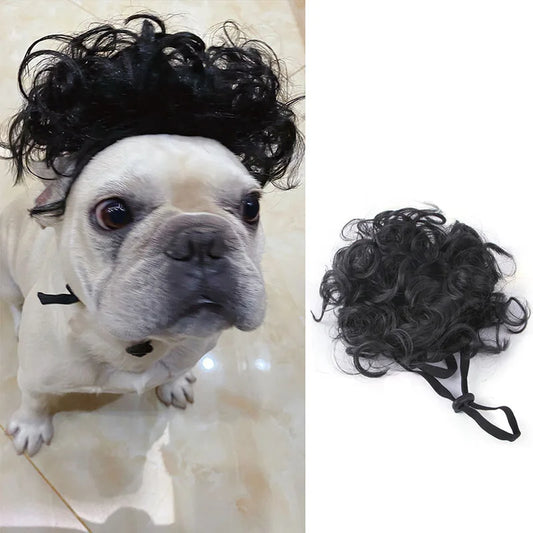 Pet Wigs for Cosplay and Photography - Cross-Dressing Hair Accessories for Dogs and Cats, Fun Costume Props and DIY Supplies